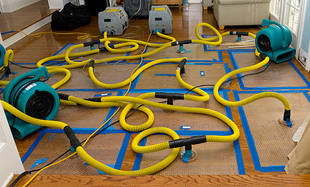 Professional Crawl Space Water Removal technician working in Biddeford, ME
